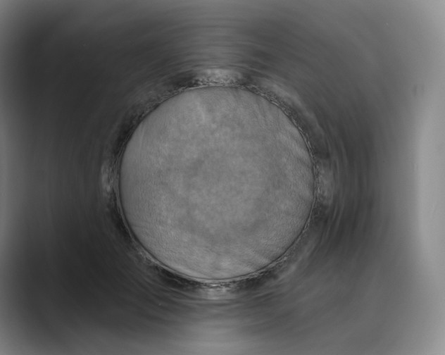 X0000088750701200706282205