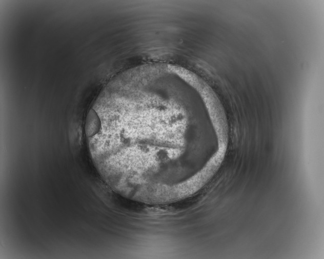 X0000088750703200706282205