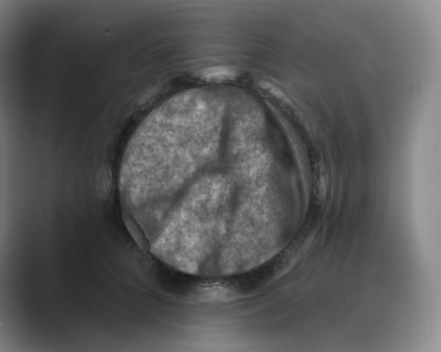 X0000088750704200706282205