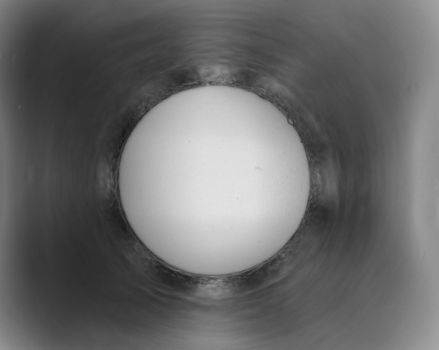 X0000088750705200706282205