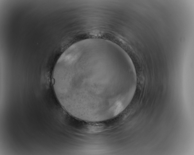 X0000088750707200706282205