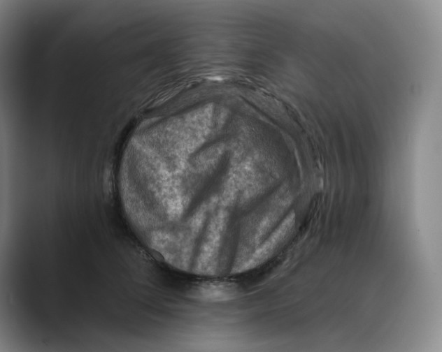 X0000088750708200706282205