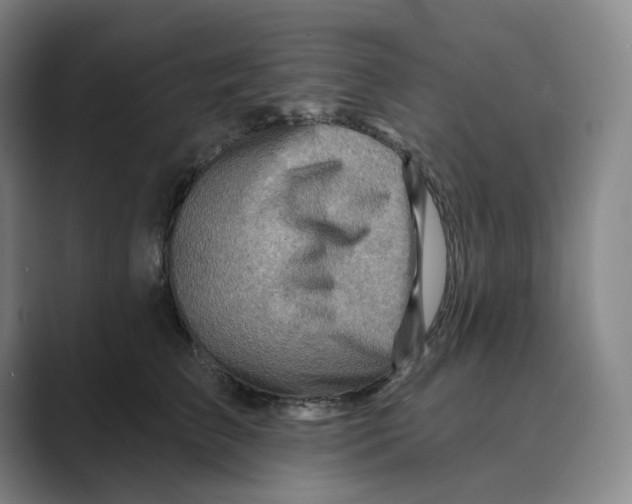 X0000088750709200706282205