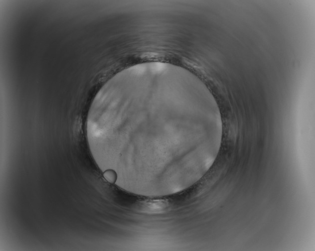 X0000088750711200706282205