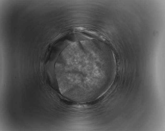 X0000088750712200706282205