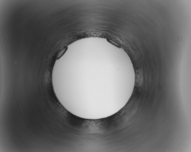 X0000088750713200706282205