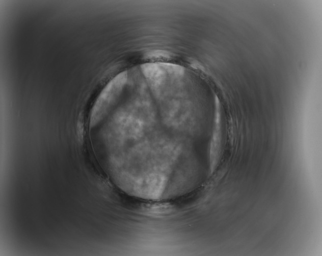 X0000088750716200706282205