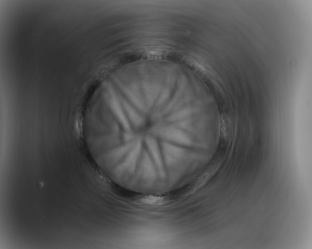 X0000088750718200706282205