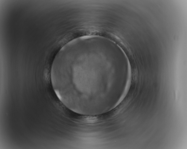 X0000088750719200706282205