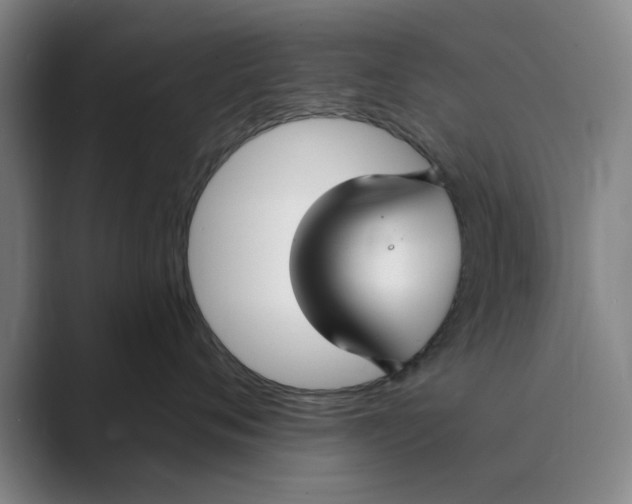 X0000088750720200706282205