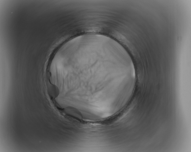 X0000088750721200706282204