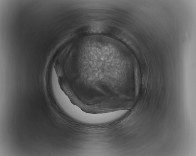 X0000088750722200706282204