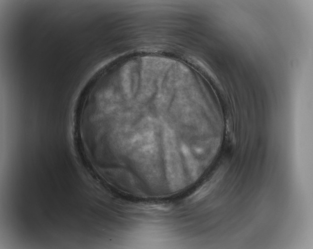 X0000088750724200706282204