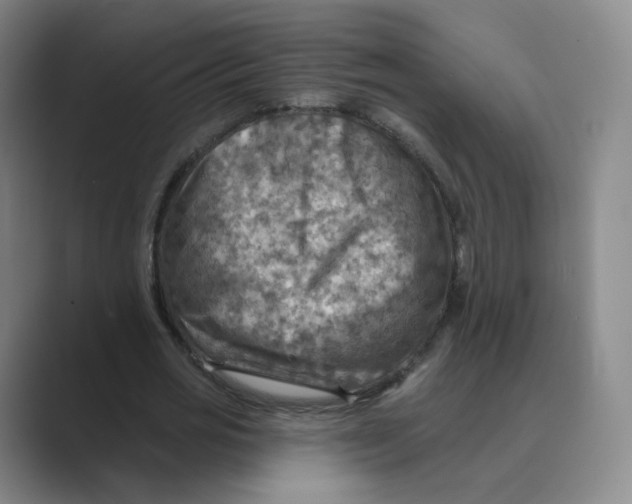 X0000088750725200706282204