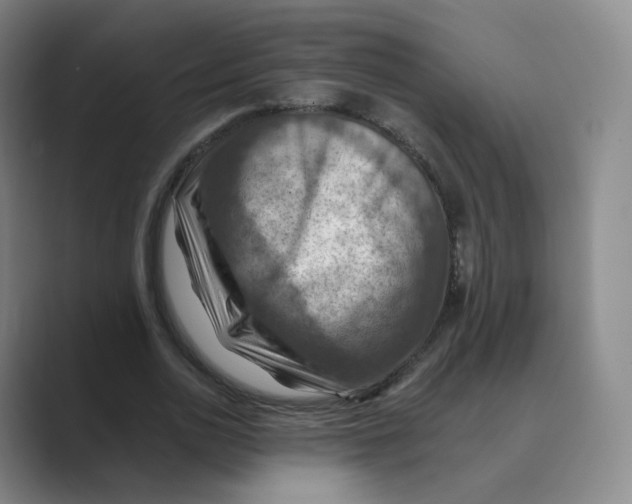 X0000088750726200706282204