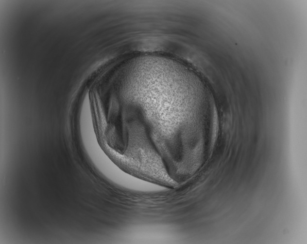 X0000088750727200706282204