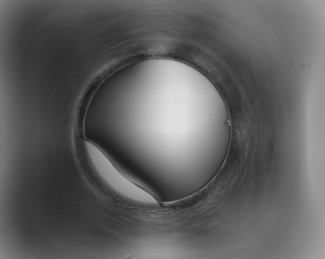 X0000088750728200706282204