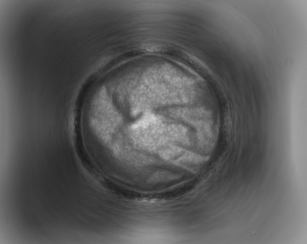 X0000088750730200706282204