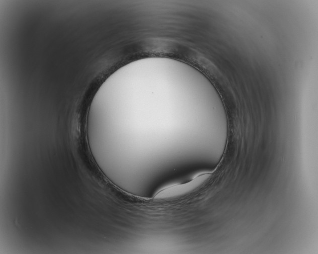 X0000088750731200706282204