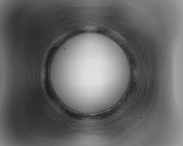 X0000088750732200706282205