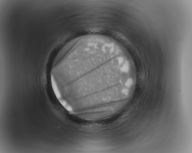 X0000088750734200706282205