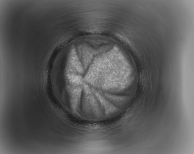 X0000088750735200706282205