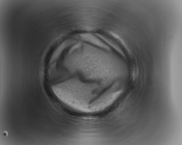 X0000088750736200706282205