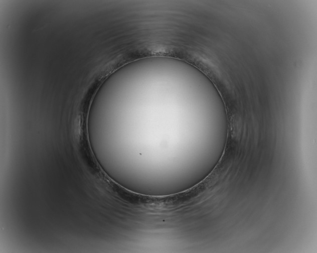 X0000088750740200706282205