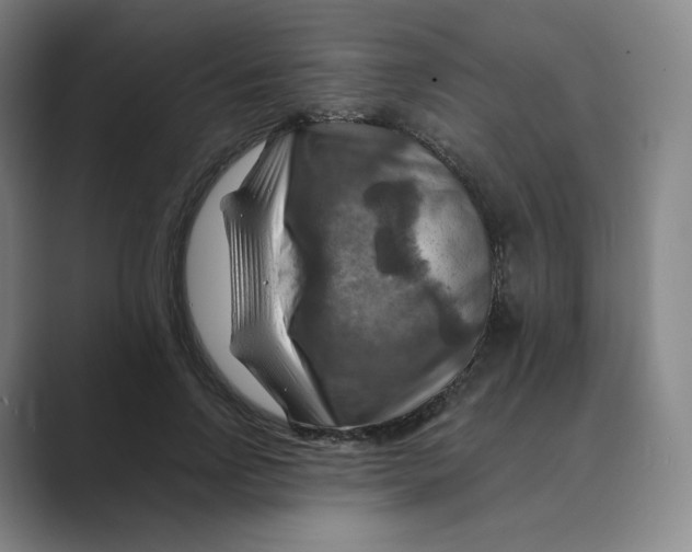 X0000088750742200706282205