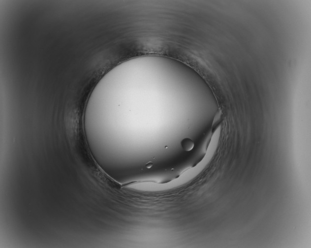 X0000088750744200706282205