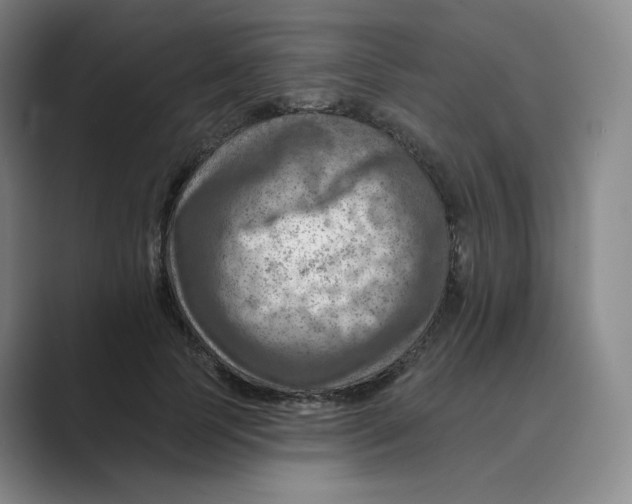 X0000088750745200706282205