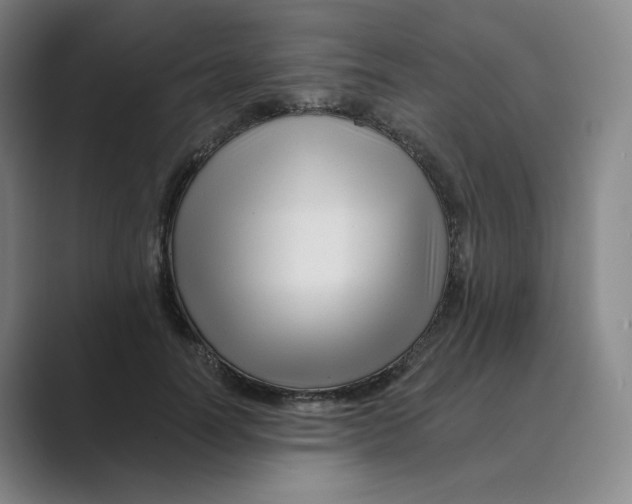 X0000088750746200706282205