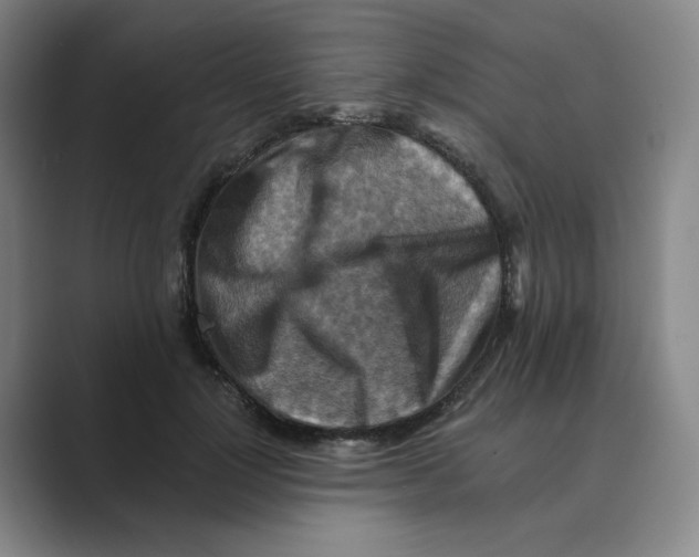 X0000088750748200706282205