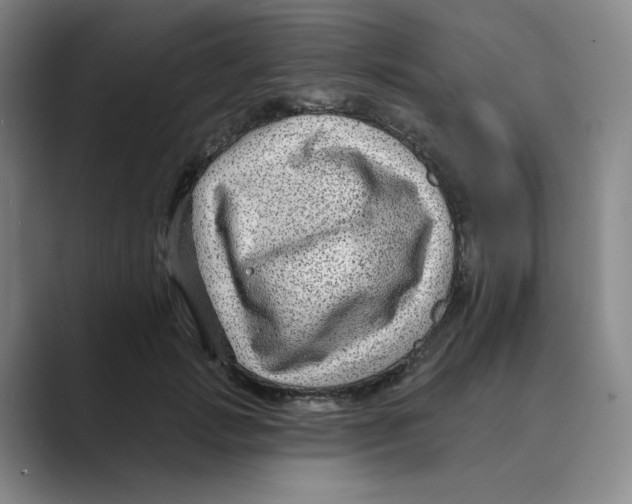 X0000088750749200706282205