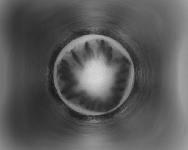 X0000088750750200706282205