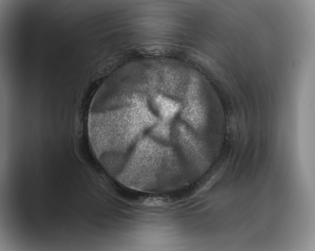 X0000088750751200706282205