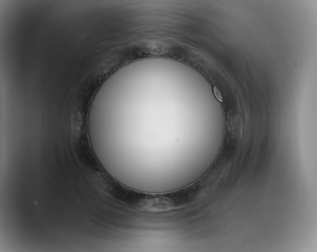 X0000088750752200706282205