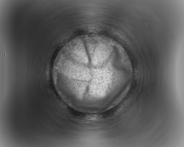 X0000088750757200706282205