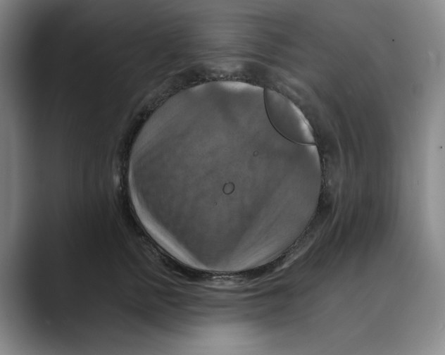 X0000088750758200706282205