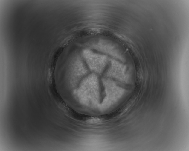 X0000088750759200706282205