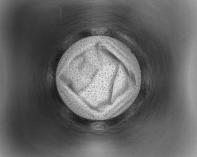 X0000088750761200706282205