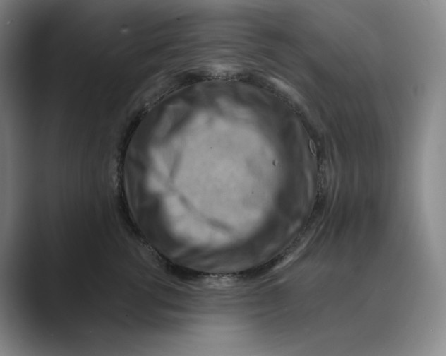 X0000088750762200706282205