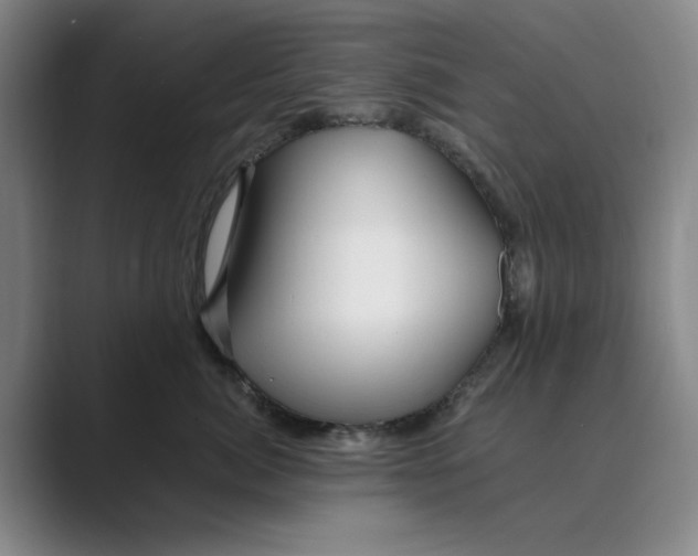 X0000088750764200706282205