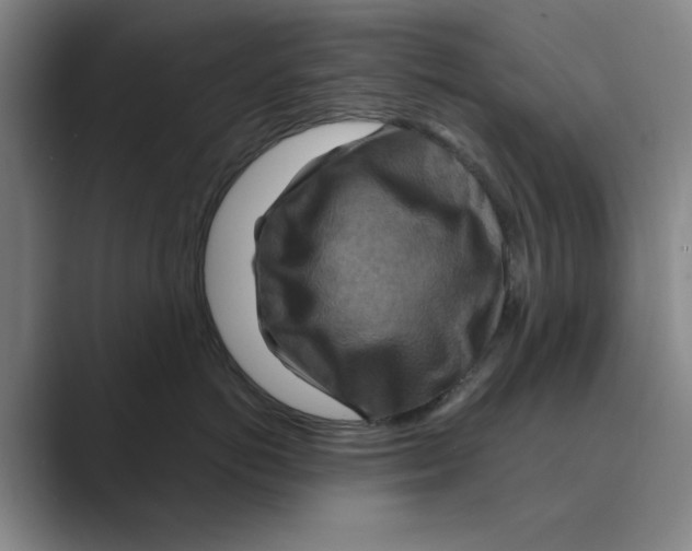 X0000088750766200706282205