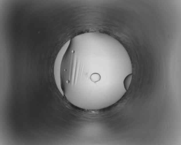 X0000088750768200706282205