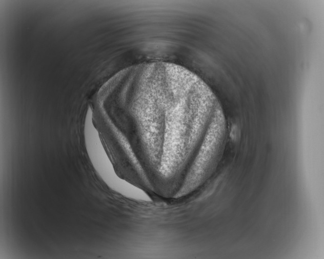 X0000088750771200706282204