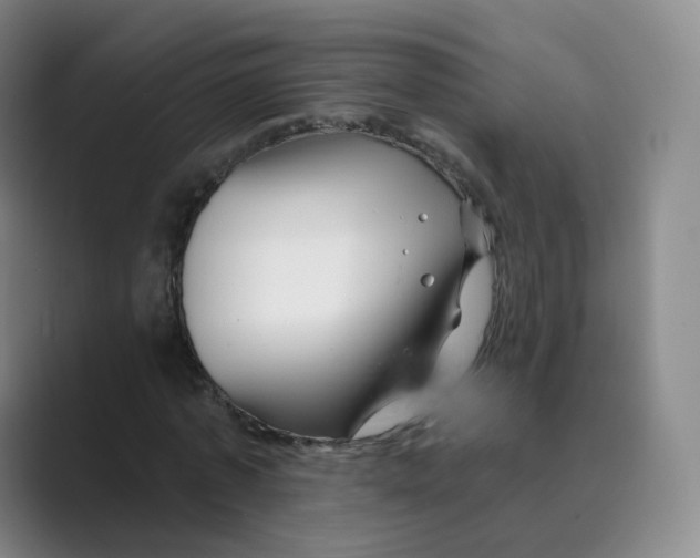 X0000088750773200706282204