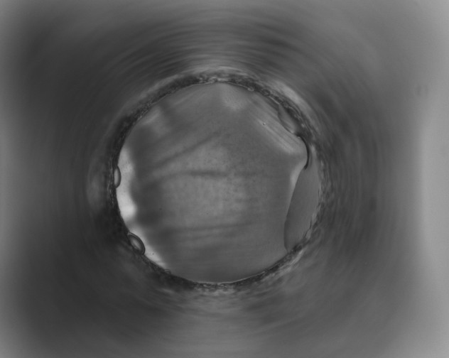 X0000088750775200706282204