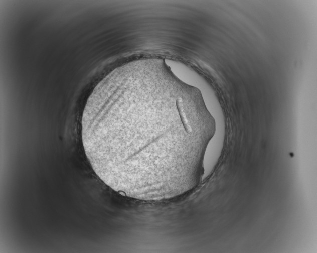 X0000088750776200706282204