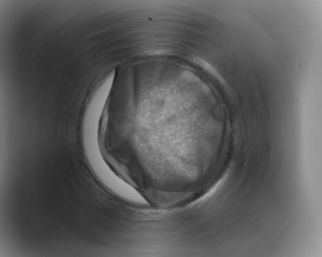 X0000088750777200706282204